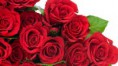 Rosas Vermelhas